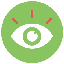 Vision Icon